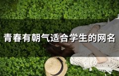 青春有朝气适合学生的网名(精选51个)