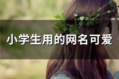 小学生用的网名可爱(精选50个)