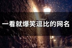 一看就爆笑逗比的网名(51个)