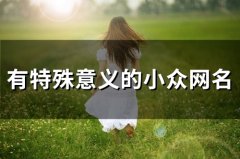 有特殊意义的小众网名(精选53个)