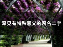 罕见有特殊意义的网名二字(精选57个)