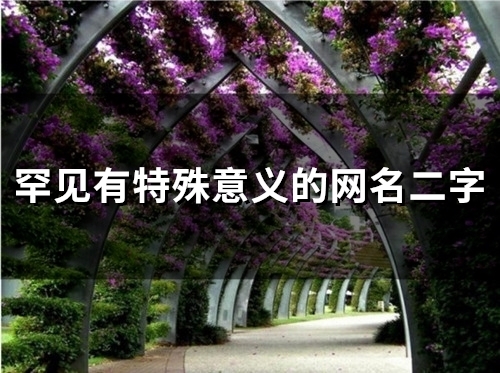 罕见有特殊意义的网名二字(精选57个)