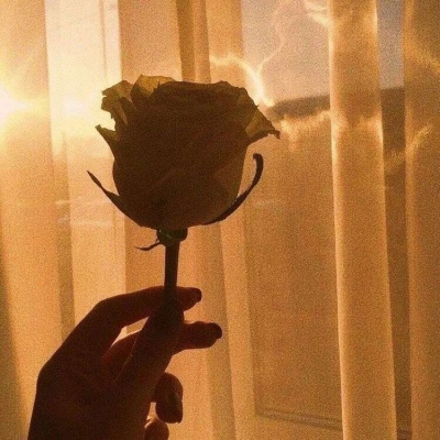 高端有品位的微信头像(精选16张)