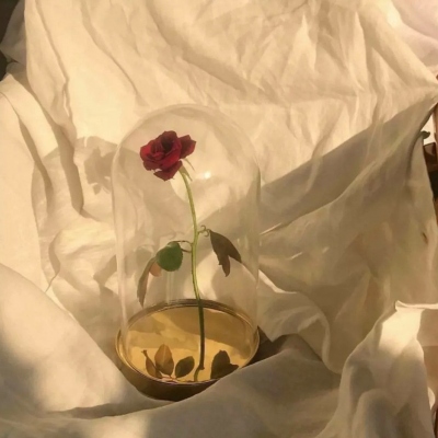 一看就舒心的微信头像