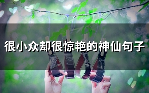 很小众却很惊艳的神仙句子(48句)