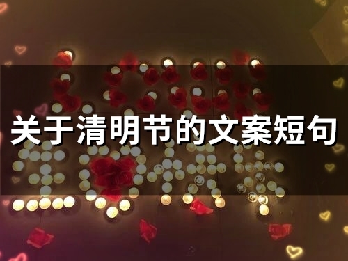 关于清明节的文案短句(53句) 关于清明节的文案短句(53句)