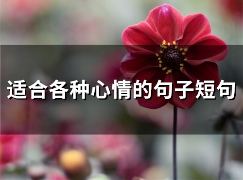 适合各种心情的句子短句(48句)