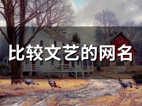 比较文艺的网名(精选60个)