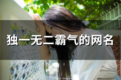 独一无二霸气的网名(56个)