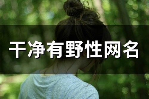 干净有野性网名(58个)