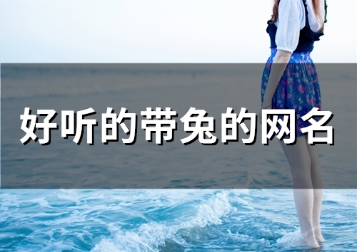 好听的带兔的网名(精选58个) 好听的带兔的网名(精选58个)