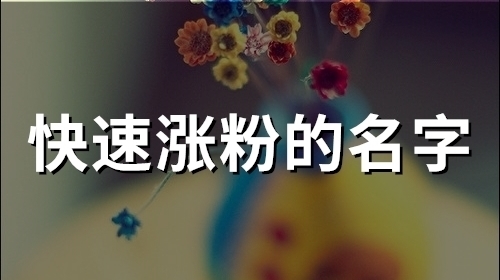 快速涨粉的名字(精选55个)