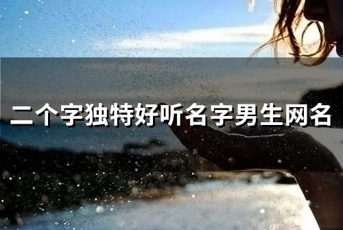 二个字独特好听名字男生网名(60个)