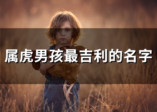 属虎男孩最吉利的名字(51个)