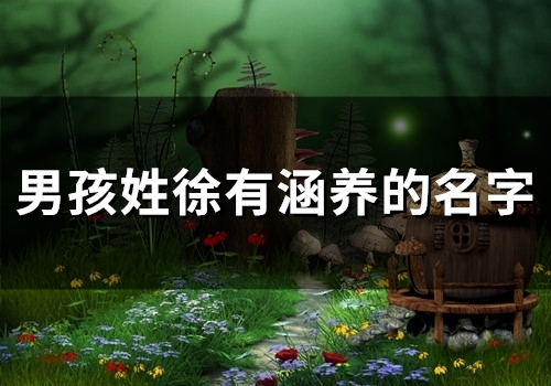 男孩姓徐有涵养的名字(精选50个)