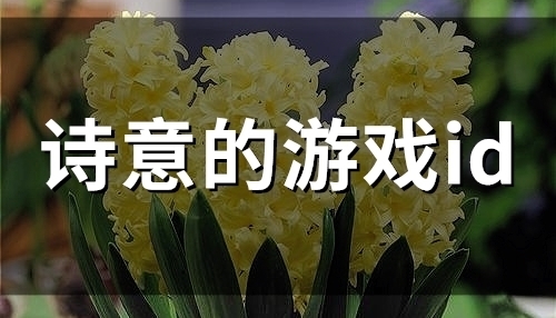 诗意的游戏id(49个)