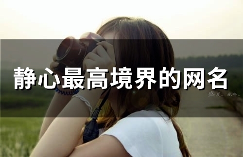静心最高境界的网名(精选57个)