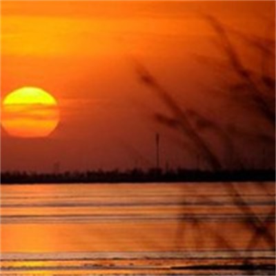 能让人心情阳光的头像(精选12张)