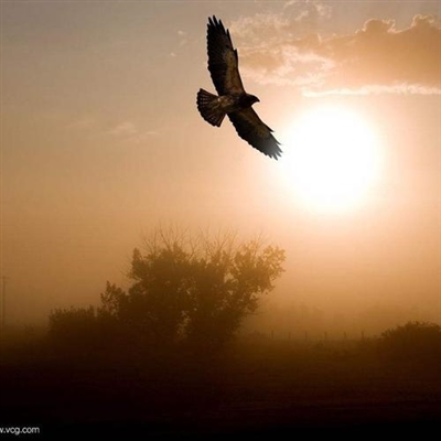 自信阳光灿烂的微信头像