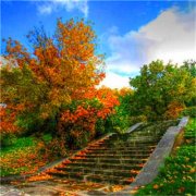 2023一生好运的女人微信头像