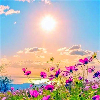 2023一生好运的女人微信头像