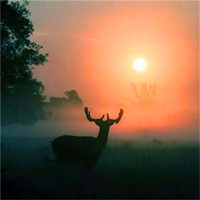 2023一生好运的女人微信头像