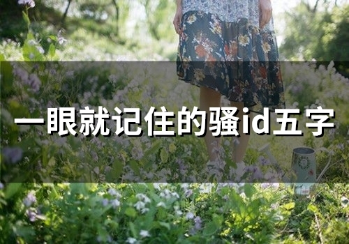 一眼就记住的骚id五字(精选105个)