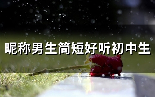 昵称男生简短好听初中生(精选60个)