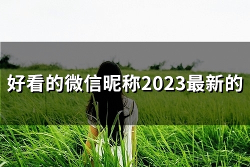 好看的微信昵称2023最新的(221个) 好看的微信昵称2023最新的(221个)