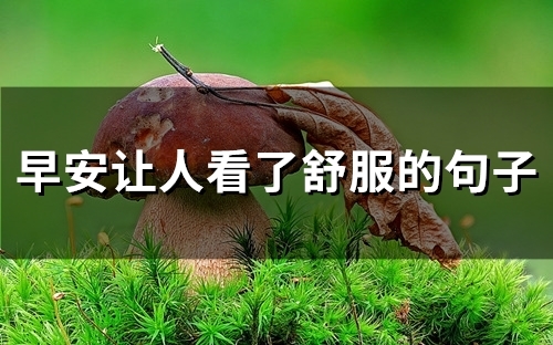 早安让人看了舒服的句子(57句)