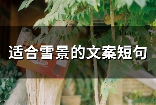 适合雪景的文案短句(57句) 适合雪景的文案短句(57句)