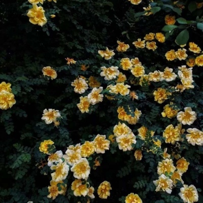 2023最成熟的微信头像(精选16张)