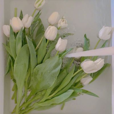 2023最成熟的微信头像(精选16张)