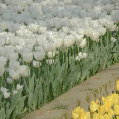 微信头像2023独一无二女(精选16张)