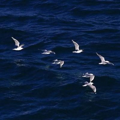 微信头像2023独一无二女(精选16张)