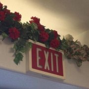 手机头像2023年爆火的头像(精选16张)