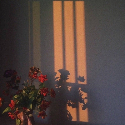 手机头像2023年爆火的头像(精选16张)