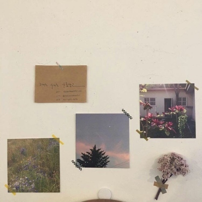 手机头像2023年爆火的头像(精选16张)