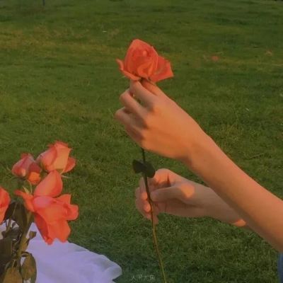 超级引人注目的头像(精选16张)