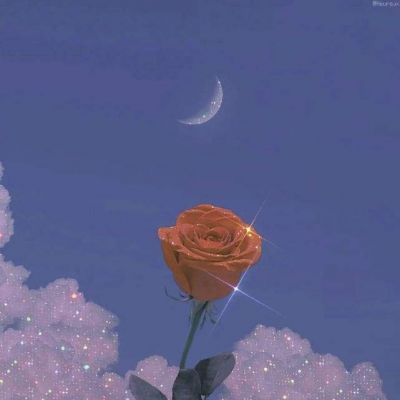 超级引人注目的头像(精选16张)