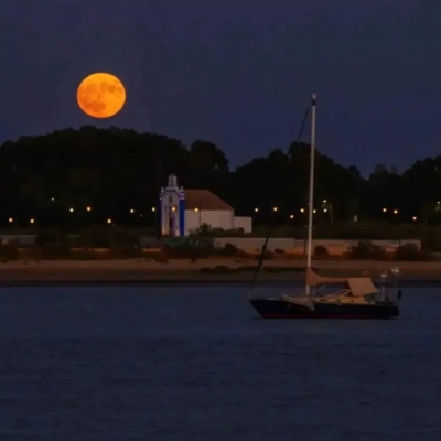 超级引人注目的头像(精选16张)