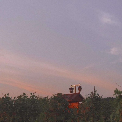 抖音吸引眼球的头像(精选16张)