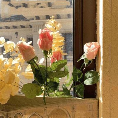 抖音吸引眼球的头像(精选16张)