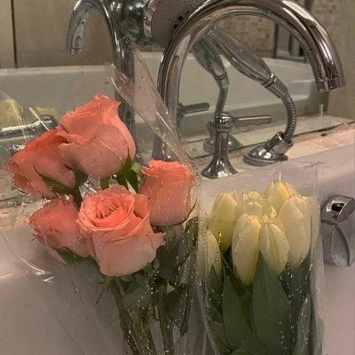 超级引人注目的头像(精选16张)