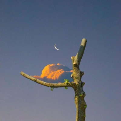 让人眼前一亮的唯美头像(精选15张)