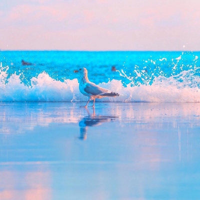 让人印象很好的头像