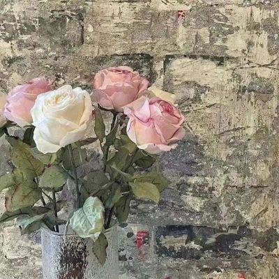 让人产生好感的微信头像(精选15张)