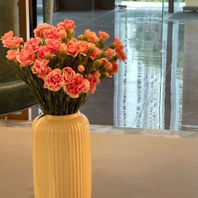 让人产生好感的微信头像(精选15张)