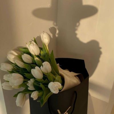 让人耳目一新的头像(精选15张)