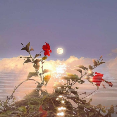 永久吸引人的微信头像(精选16张)